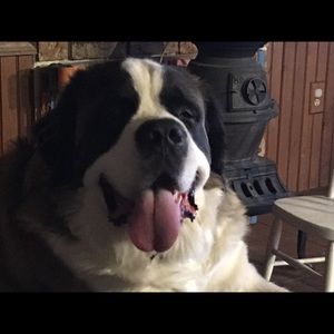 Meet your Posher, Joni